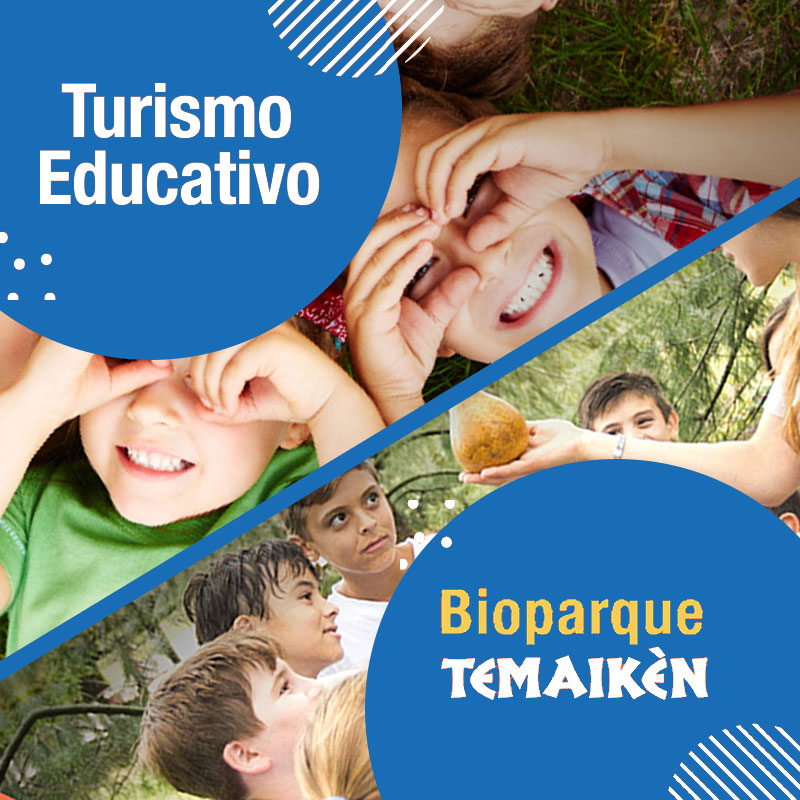 Catamaranes Educativo